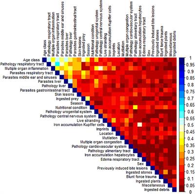 Using marine mammal necropsy data in animal health surveillance: the case of the harbor porpoise in the Southern North Sea